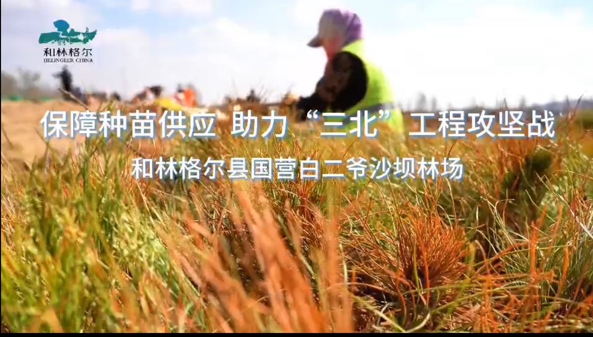 保障種苗供應(yīng) 助力“三北”工程攻堅(jiān)戰(zhàn) 和林格爾縣國(guó)營(yíng)白二爺沙壩林場(chǎng)