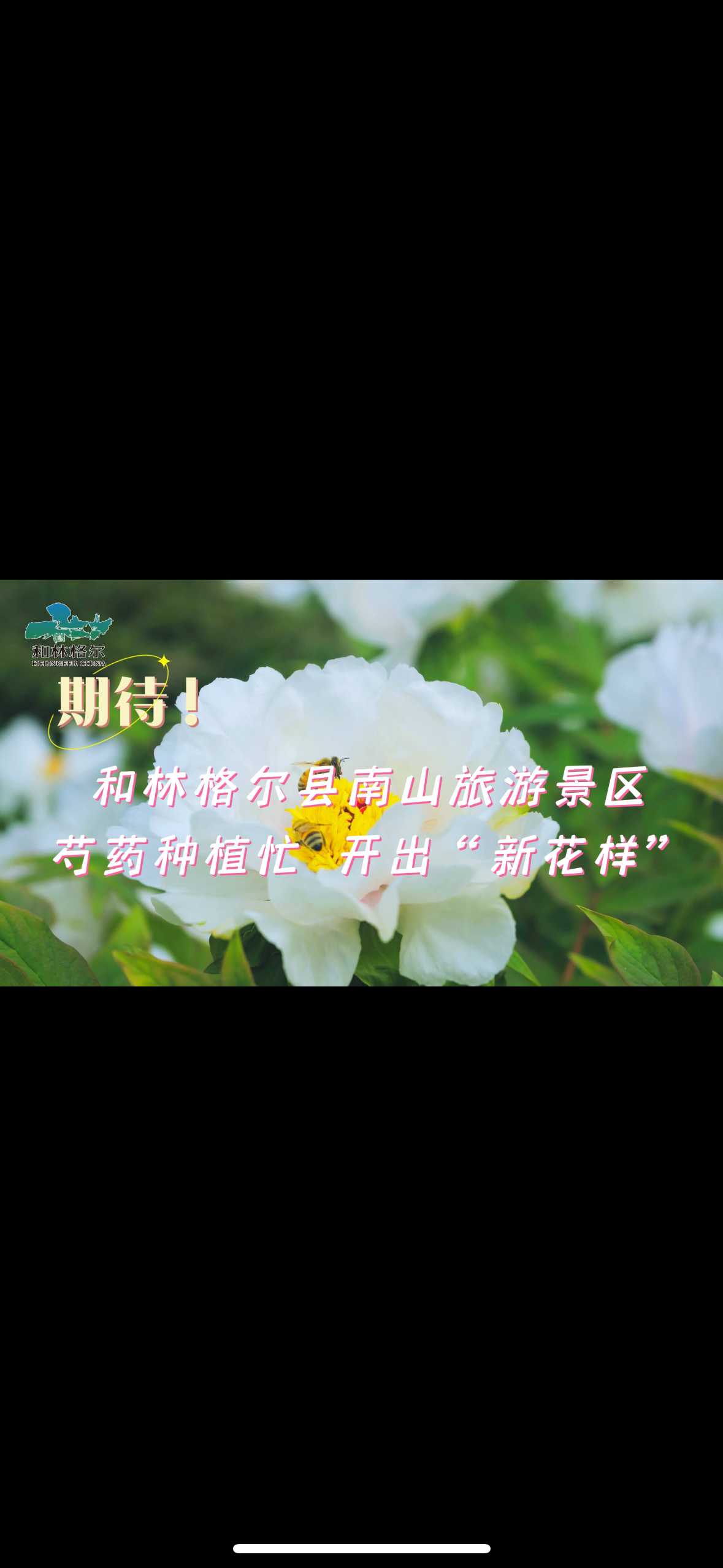 和林格爾縣南山旅游景區(qū)：芍藥種植忙 開(kāi)出“新花樣”