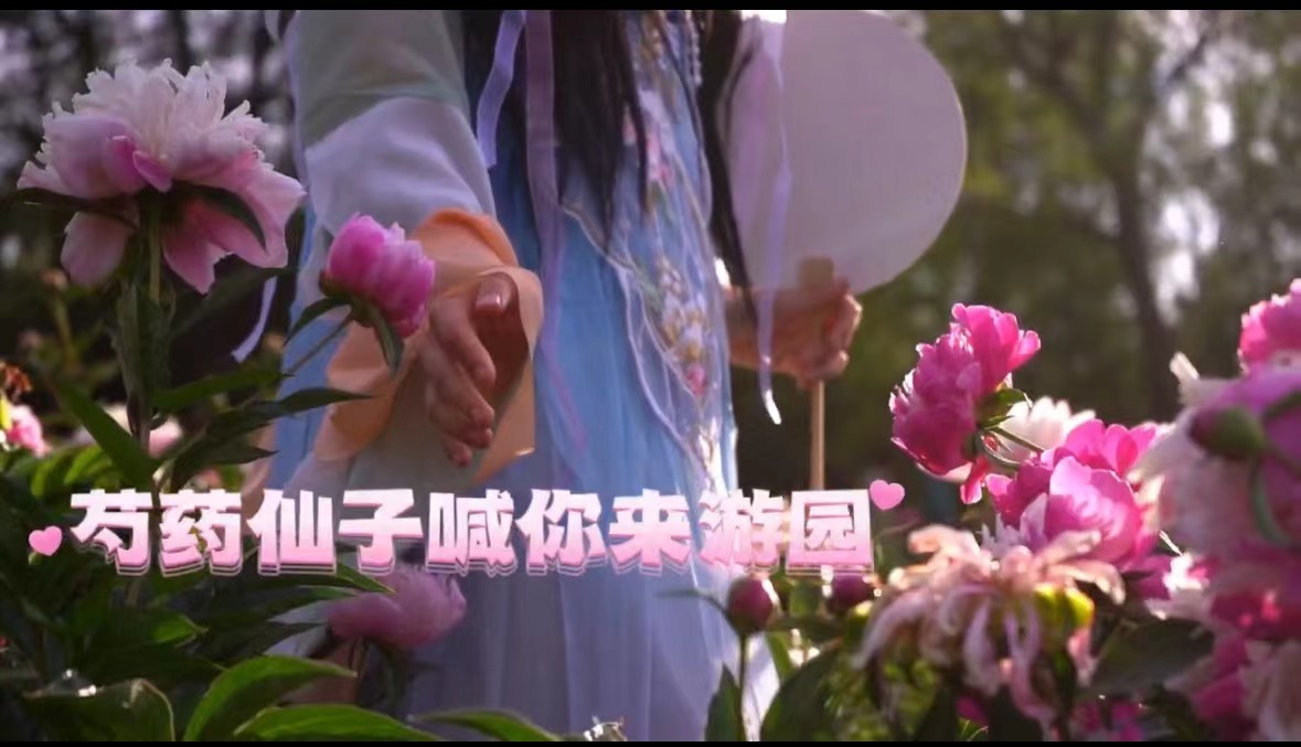 芍藥仙子喊你來(lái)游園!