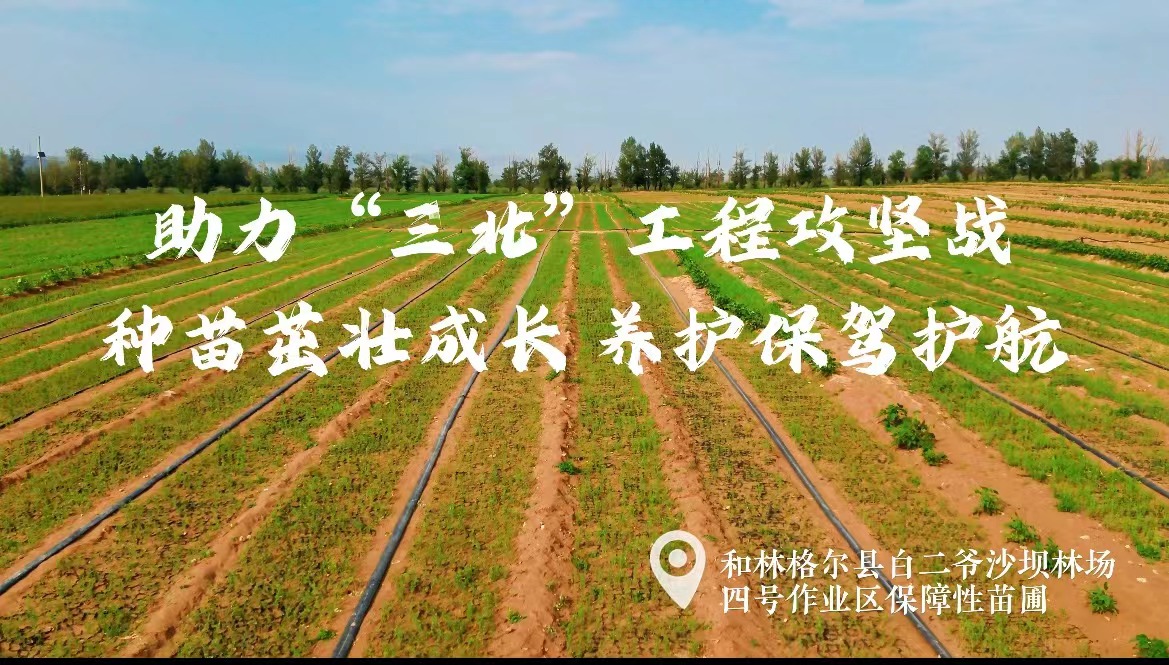助力“三北”	工程攻堅(jiān)戰(zhàn)	 種苗茁壯成長(zhǎng) 養(yǎng)護(hù)保駕護(hù)航