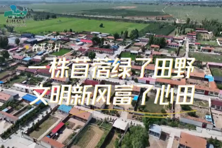 臺(tái)基營(yíng)村：一株苜蓿綠了田野   文明新風(fēng)富了心田