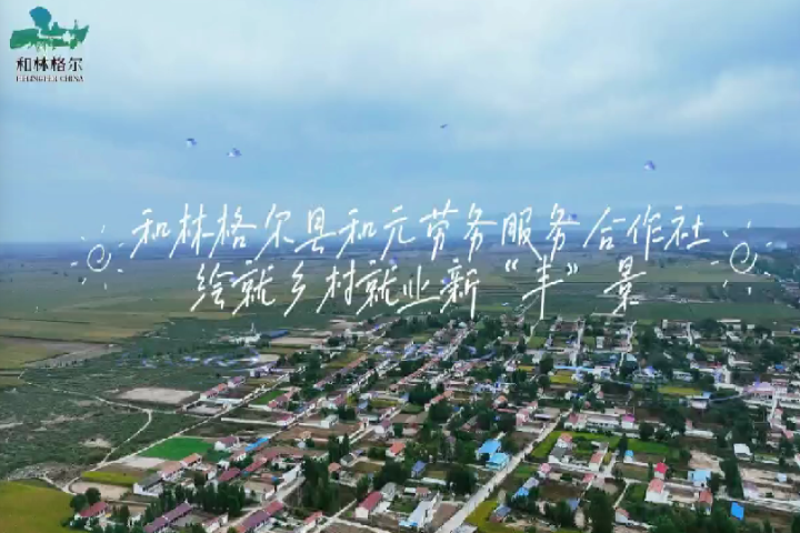 和林格爾縣和元?jiǎng)趧?wù)專業(yè)合作社：繪就鄉(xiāng)村就業(yè)新“豐”景